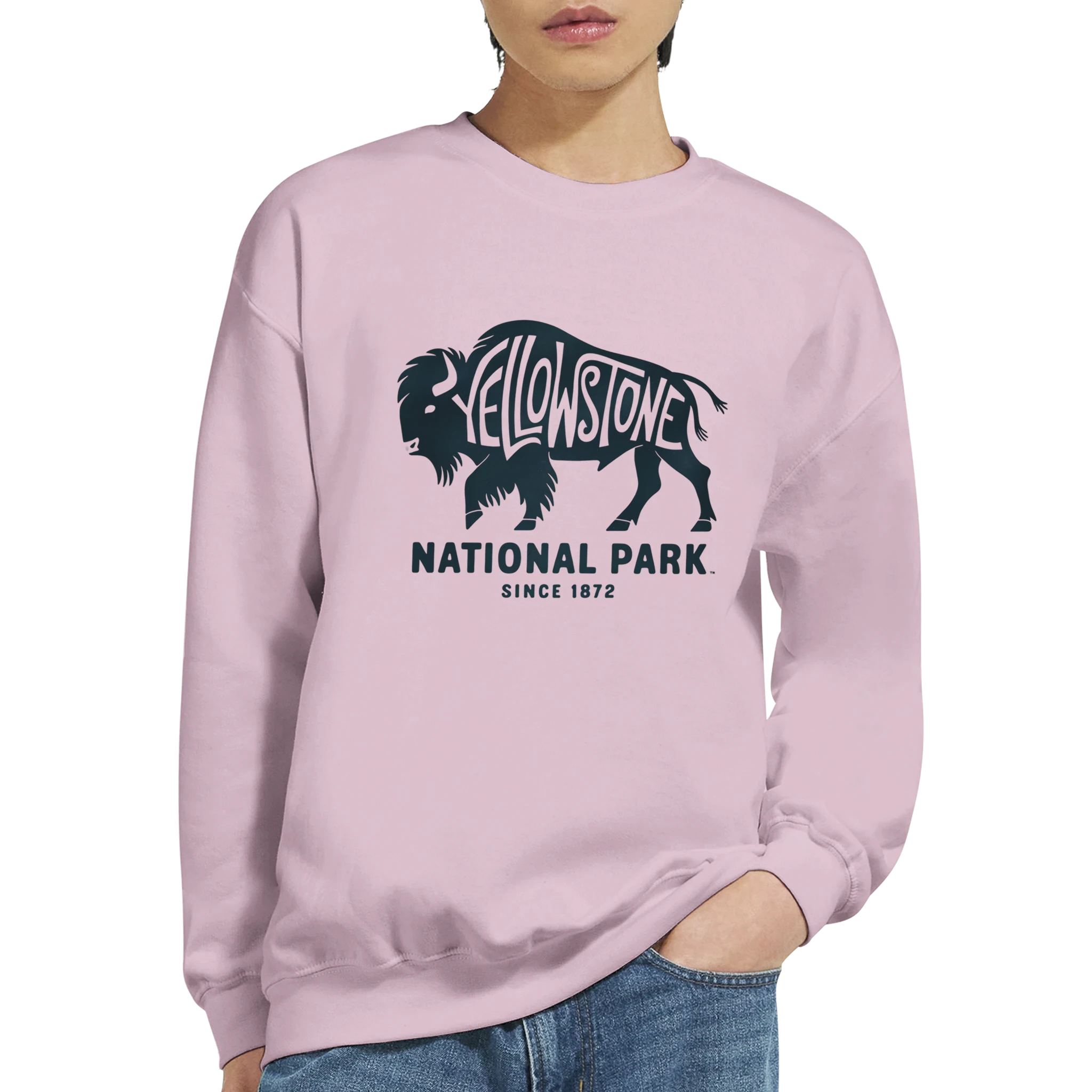 0e4e6fe3-900a-42c8-8e4b-8b65071620e2